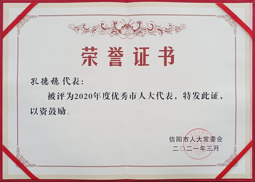 2021孔總優(yōu)秀人大代表